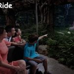 Night Safari with Dinner Guide+shared transfer 7