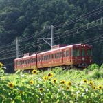 Fujikyuko Line3