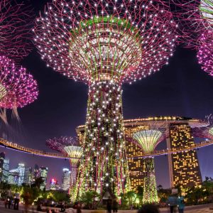 garden by the bay6